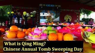 What is Qing Ming  Chinese Tomb Sweeping Day  A Documentary VLOG by Wan Hoe [upl. by Grimaud]