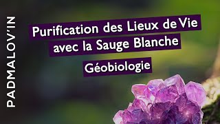 Purification des Lieux de Vie avec la Sauge Blanche et lEncens Géobiologie [upl. by Ellennej]