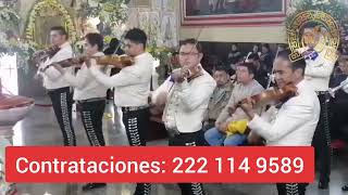 Rondinella autor Gori Cortés Interpreta Mariachi Zacatlán créditos Omar TV Mx [upl. by Ahsiaa]