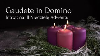 Gaudete in Domino – Introit na III Niedzielę Adwentu [upl. by Hackett546]