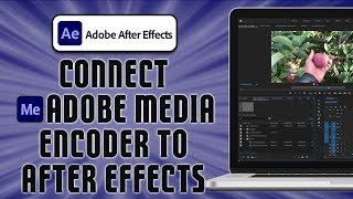 How To Connect Adobe Media Encoder to After Effects easy [upl. by Gabey]