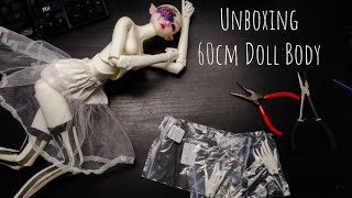 BJD Unboxing  White 60cm Resinsoul body wjointed hands [upl. by Annala]