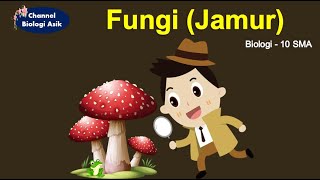 Kingdom Fungi  Biologi kelas 10 SMA [upl. by Damien]