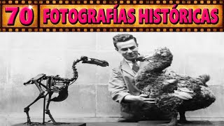 🐻 FOTOGRAFÍAS HISTORICAS 📸🌎 que tienes que ver 👁️👁️ la HISTORIA del MUNDO en IMAGENES 💛 PARTE 2 [upl. by Friede731]