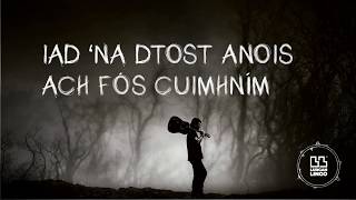 Fonn Na Saoirse  Sound Of Silence as Gaeilge [upl. by Oiramrej]