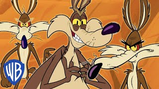 Looney Tunes auf Deutsch  Wile E Coyote das Genie  30 Minuten  WB Kids [upl. by Ainesey810]