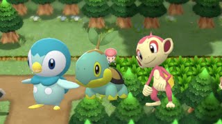 shiny hunting the starters in Pokémon brilliant diamond shiny nuzlockebadge quest [upl. by Bowles542]