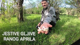 JESTIVE GLJIVE RANOG APRILA [upl. by Levania]