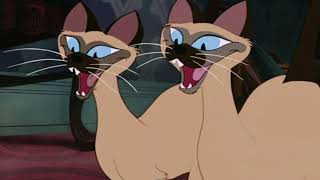 The Siamese Cat Song  From “Lady And The Tramp” Audio [upl. by Yssirk]