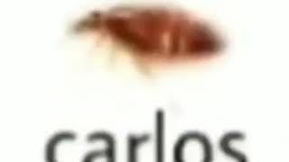 Carlos the roach  meme [upl. by Katlin]