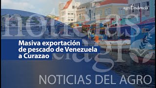 🔴 Masiva exportación de pescado de Venezuela a Curazao ¡7 toneladas de producto fresco [upl. by Oshinski]