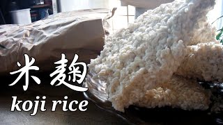 米袋で簡単にできる米麹の作り方～How to make koji rice [upl. by Nagard]