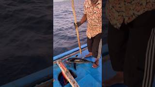 മീനിനെ ബോധം കെടുത്തിയത് കാണണോ shortsfeed malayalamfishing fishing malayalamfishingvideo fish [upl. by Estel257]