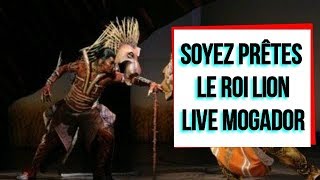 Soyez Prêtes  Le Roi Lion  Mogador  LIVE  Olivier Breitman [upl. by Enilrad]