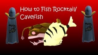 How to fish RocktailCavefish and a way to maximize xp [upl. by Eirrac]