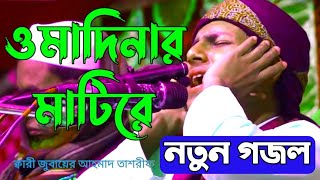 ও মদিনার মাটি রে  o Madinar Matire  New Gojol  বাংলা গজল  ক্বারী জুবায়ের আহমাদ তাশরীফ [upl. by Karleen130]