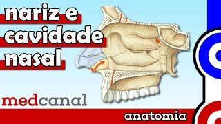 Nariz e Cavidade Nasal  ANATOMIA [upl. by Korff863]