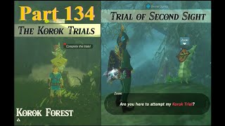 Zelda  Botw  Trial of Second Sight Chios The Korok Trials [upl. by Puff]