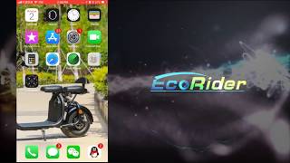 EcoRider Citycoco E510 APP Connection [upl. by Ntsuj597]