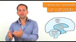 2 minutes pour comprendre le fonctionnement du cerveau [upl. by Nnaesor]