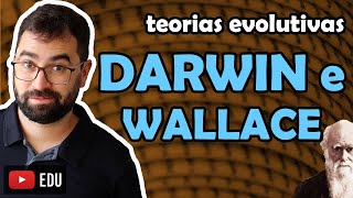 DarwinWallace  Evolução  Aula 02  Módulo III Evolução e Classificação dos Seres  Prof Gui [upl. by Eciened]