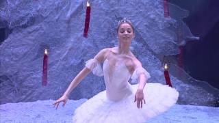 Pyotr Ilyich Tchaikovsky  Anna Nikulina  Dance of the Sugar Plum Fairy  2014 [upl. by Goran832]