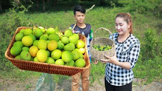 Extreme Sour Young Golden Plums Fruit Cook and Eat  How golden plum be in recipe  Yummy Fruit [upl. by Naitsabes539]