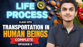 Transportation in human beings  Life process  Class 10th  Episode 6 [upl. by Ecydnac]