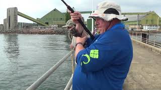 Jetty Fishing Lucinda Qld 2017 [upl. by Caspar879]