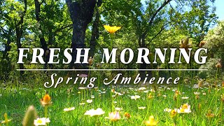 🌿🌞Begin Your Day with the POSITIVE ENERGY of Healing Spring Sounds🌿Fresh Morning Ambience Meditation [upl. by Aanas413]