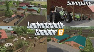 Savegame Untergriesbach 🚜💨  LS19 [upl. by Asiela]