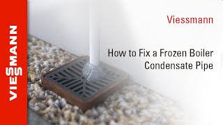 How to Fix a Frozen Boiler Condensate Pipe [upl. by Perron45]