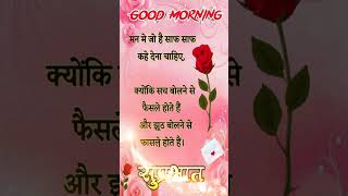 🌞good morning🌞shayari video youtubeshorts shorts viral 2024 trending [upl. by Iniretake197]