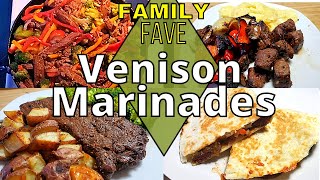 4 Favorite VENISON Marinades  How to MARINATE Deer Meat  The Best wild game recipes [upl. by Llyrpa]