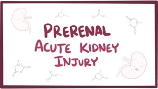 Prerenal acute kidney injury acute renal failure  causes symptoms amp pathology [upl. by Malo179]