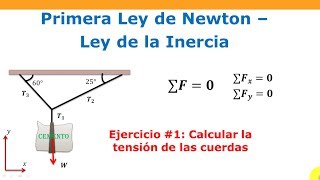 Cómo calcular la tensión de las cuerdas  1ra Ley de Newton [upl. by Assehc]