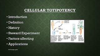 Cellular totipotency in Plants  Plant tissue culture  AZ Concepts guide [upl. by Emia]