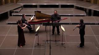 J D Zelenka Trio Sonata V F Major [upl. by Assanav727]