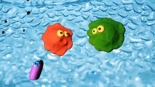 The Two Amoebas 1 The World Around Us Claymation [upl. by Christiana]