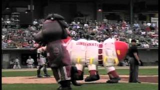 ZOOperstars LeBronco James and Centipete Rose at the Peoria Chiefs game 52011 [upl. by Melitta402]