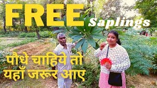 Free Saplings Government Nursery  Free पेड़ पौधे  Free Plants [upl. by Huberty]