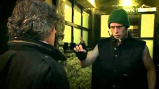 Hardy Bucks RTE  Buzz as Guard [upl. by Vacuva]