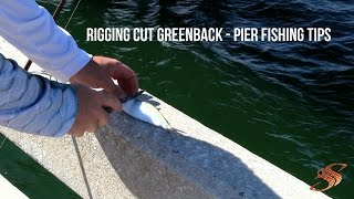 Rigging Cut Greenbacks  Pier Fishing Tips [upl. by Ytsrik]