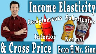 Cross Price Elasticity amp Income Elasticity [upl. by Irrac]