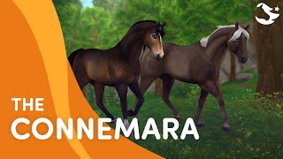 Meet the Connemara 😍🌟  Star Stable Breeds [upl. by Frankhouse]