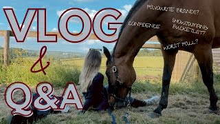 Vlog amp QampA with Nelboe Equestrian💗 [upl. by Yendirb]