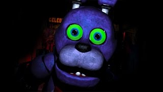 Five Nights at Freddys 5  FINALLY FINISHED [upl. by Niawd]