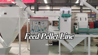 34 TH Cattle Aniaml Feed Making Plant Manufacturer from China feedmill feedpelletmills [upl. by Ssitnerp]