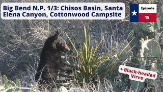 April 2023 Texas  Episode 15  Big Bend NP Chisos Basin Santa Elena Canyon [upl. by Vina]