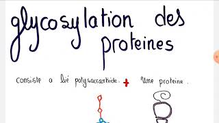 💣glycosylation des protéines [upl. by Layton]